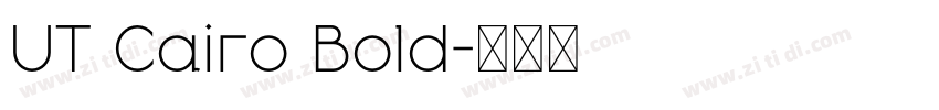UT Cairo Bold字体转换